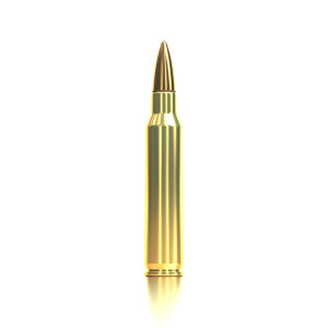 MUNITIONS SELLIER & BELLOT 223 REMINGTON 55GR X100 V341872