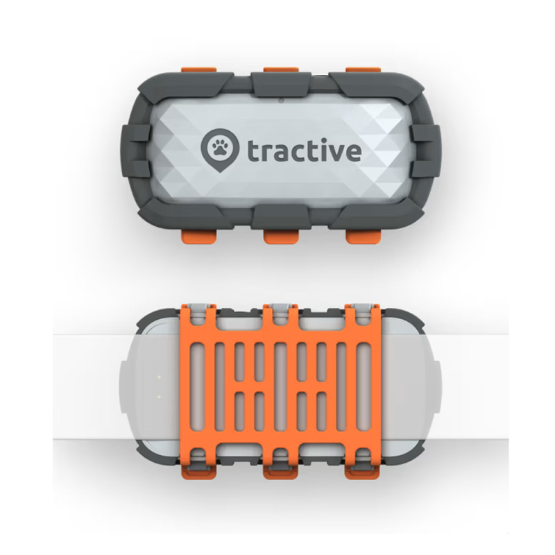 COLLIER TRACTIVE DOG XL ADVENTURE