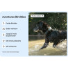 COLLIER TRACTIVE DOG XL ADVENTURE