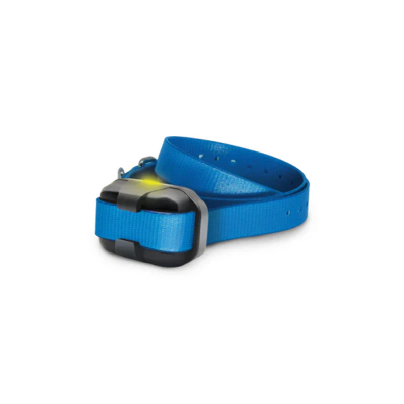 COLLIER SUPPLEMENTAIRE DOGTRA 640X BLEU 171412