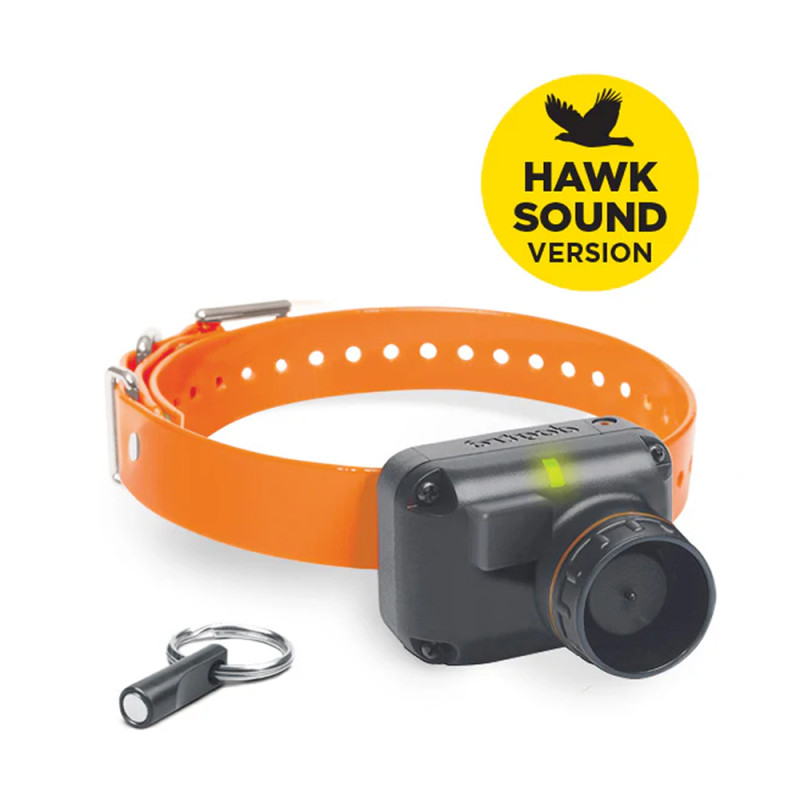 COLLIER BEEPER DOGTRA STB HAWK-L SON GRAVE FAUCON