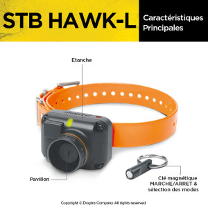 COLLIER BEEPER DOGTRA STB HAWK-L SON GRAVE FAUCON