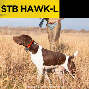 COLLIER BEEPER DOGTRA STB HAWK-L SON GRAVE FAUCON