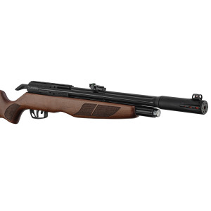 CARABINE GAMO RISER PUNISHER CALIBRE 5.5 40 JOULES