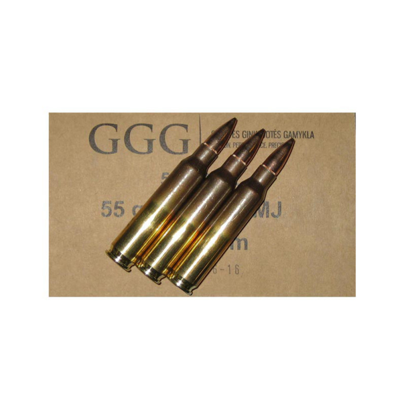 MUNITIONS GGG 223 REM FMJ BT X50