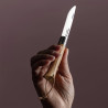 COUTEAU OPINEL NÉO6 OPIFLEX OLIVIER