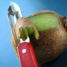 ÉPLUCHEUR OPINEL MICRODENTÉ