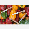 COFFRET CUISINE OPINEL LES ESSENTIELS BOIS X4