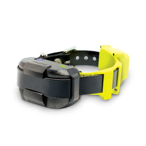 COLLIER GPS ANTI-FUGUE DOGTRA FENCE