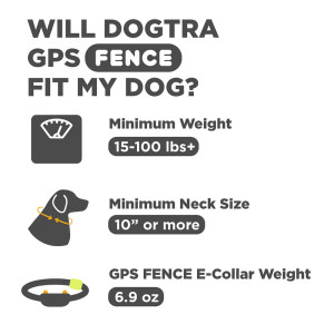 COLLIER GPS ANTI-FUGUE DOGTRA FENCE