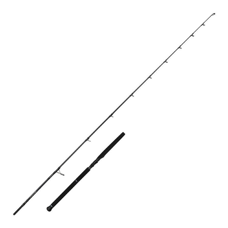 CANNE SPINNING SAVAGE GEAR DEFIANCE SG2 OFF SHORE PELAGIC