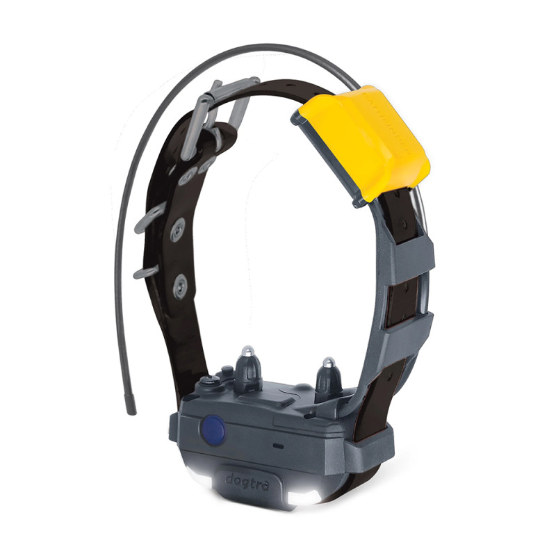 COLLIER SUPPLÉMENTAIRE PATHFINDER 2 MINI