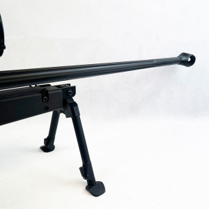 CARABIME PGM 338 + LUNETTE SMITH&BENDER 5-20x56