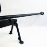 CARABIME PGM 338 + LUNETTE SMITH&BENDER 5-20x56