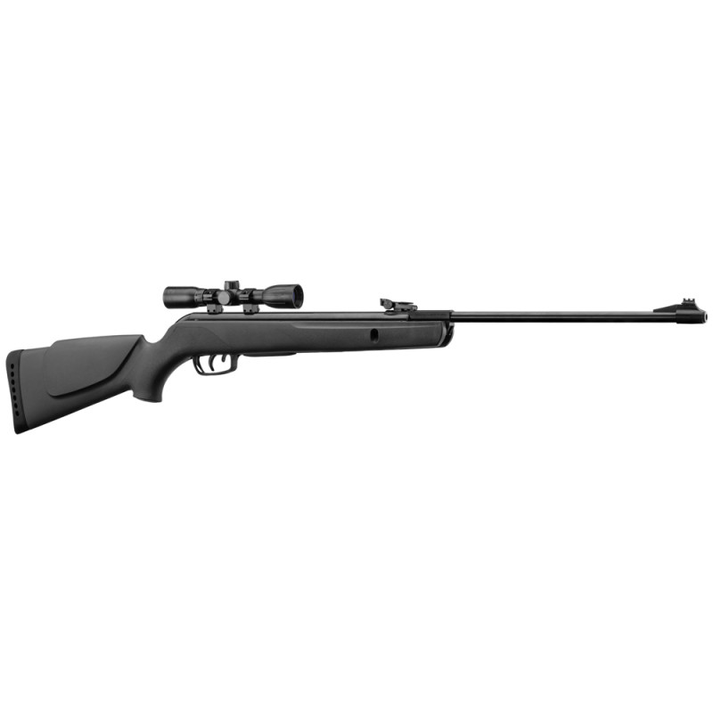 PACK CARABINE GAMO BIG CAT 1000E + LUNETTE 4x32 + PLOMBS + CIBLES