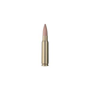 MUNITIONS BALLES RWS 308 WINCHESTER ELITE PLUS MATCH 2408633