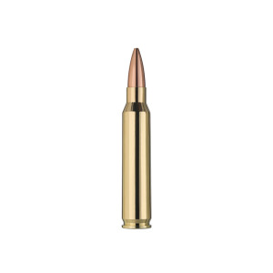 MUNITIONS RWS ELITE PLUS MATCH 223 REMINGTON 69GR X20 2411868