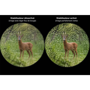JUMELLES STABILISÉES WALDBERG PRO 15x42 ED