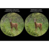 JUMELLES STABILISÉES WALDBERG PRO 15x42 ED