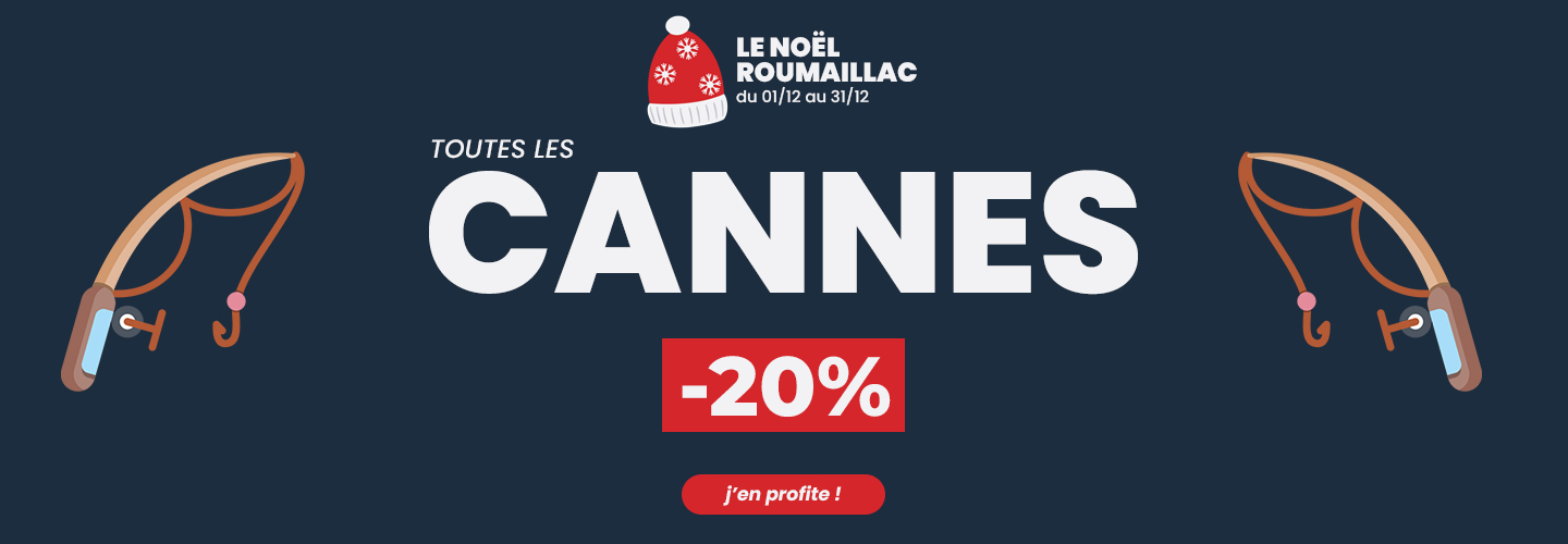 -20 Cannes Slide background