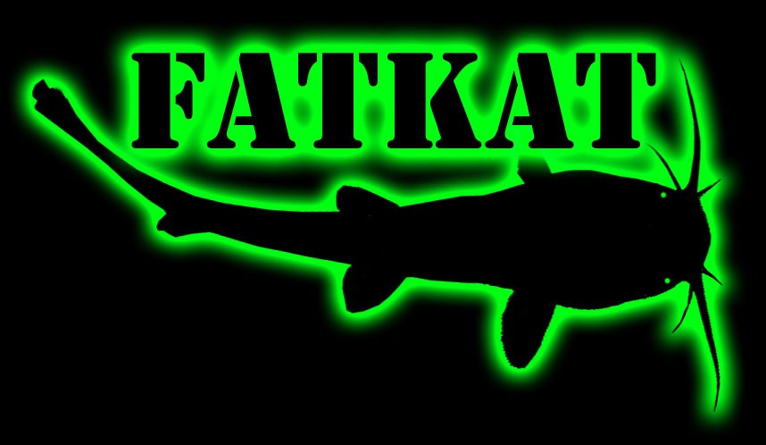 FATKAT